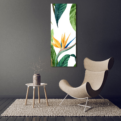 Acrylique tableau Strelitzia royal