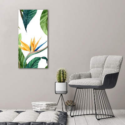 Acrylique tableau Strelitzia royal