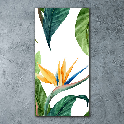 Acrylique tableau Strelitzia royal