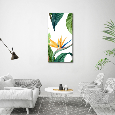 Acrylique tableau Strelitzia royal