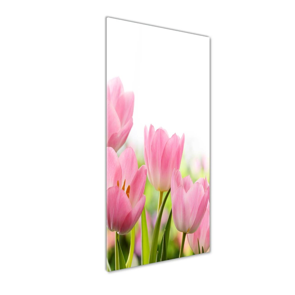 Tableau verre acrylique Tulipes roses