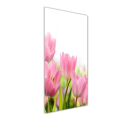 Tableau verre acrylique Tulipes roses