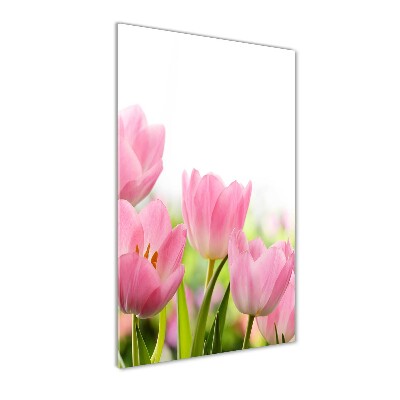 Tableau verre acrylique Tulipes roses