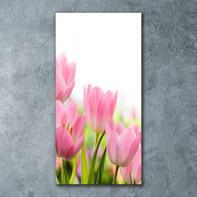 Tableau verre acrylique Tulipes roses