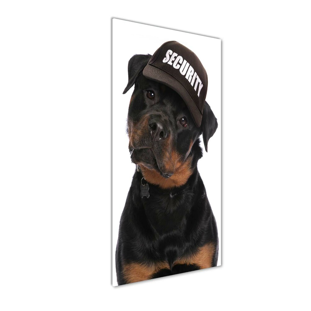 Tableau en acrylique Rottweiler en casquette