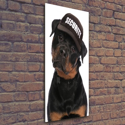 Tableau en acrylique Rottweiler en casquette