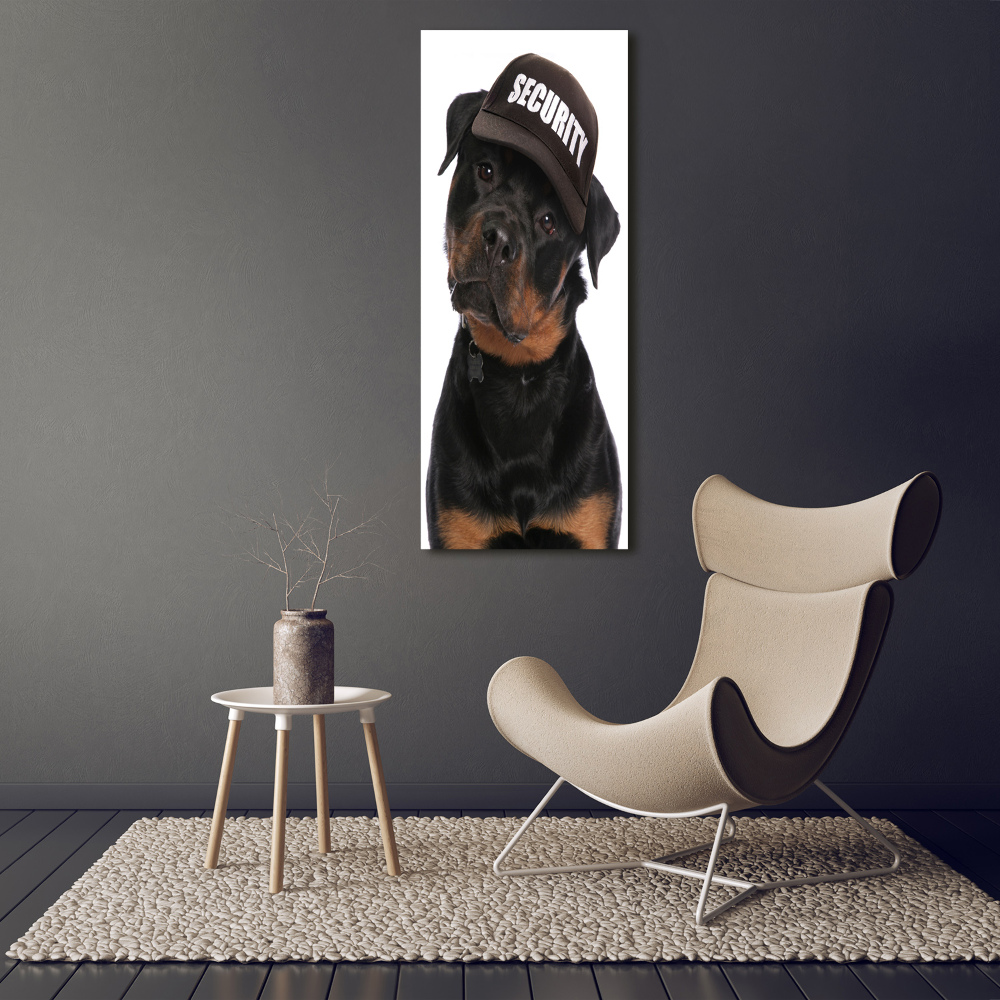 Tableau en acrylique Rottweiler en casquette