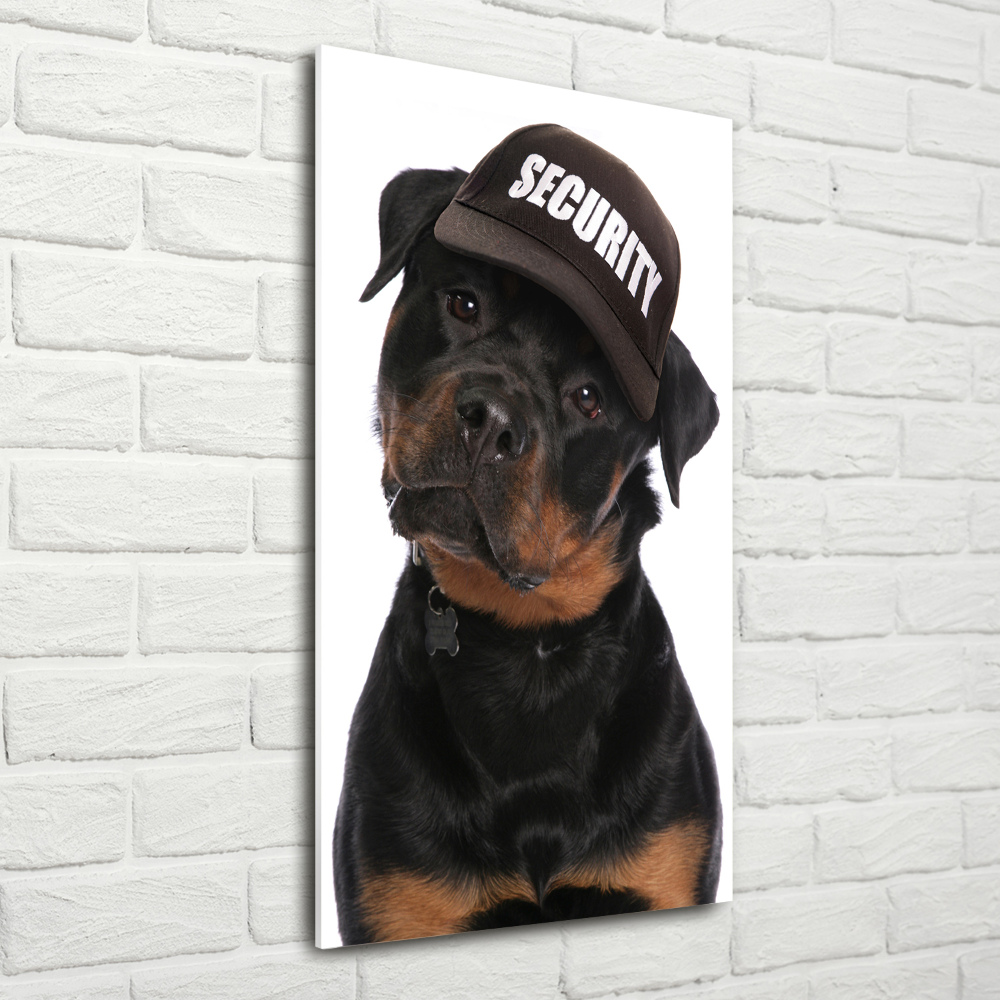 Tableau en acrylique Rottweiler en casquette