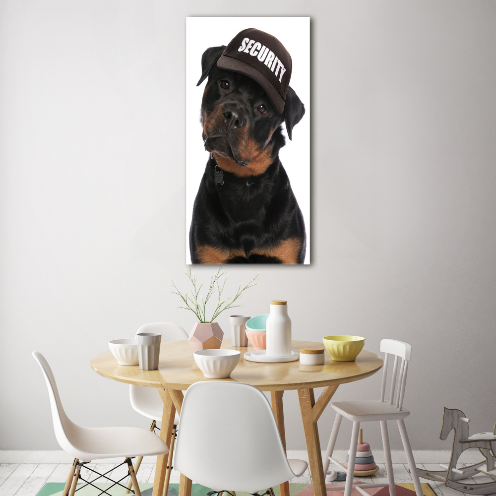 Tableau en acrylique Rottweiler en casquette