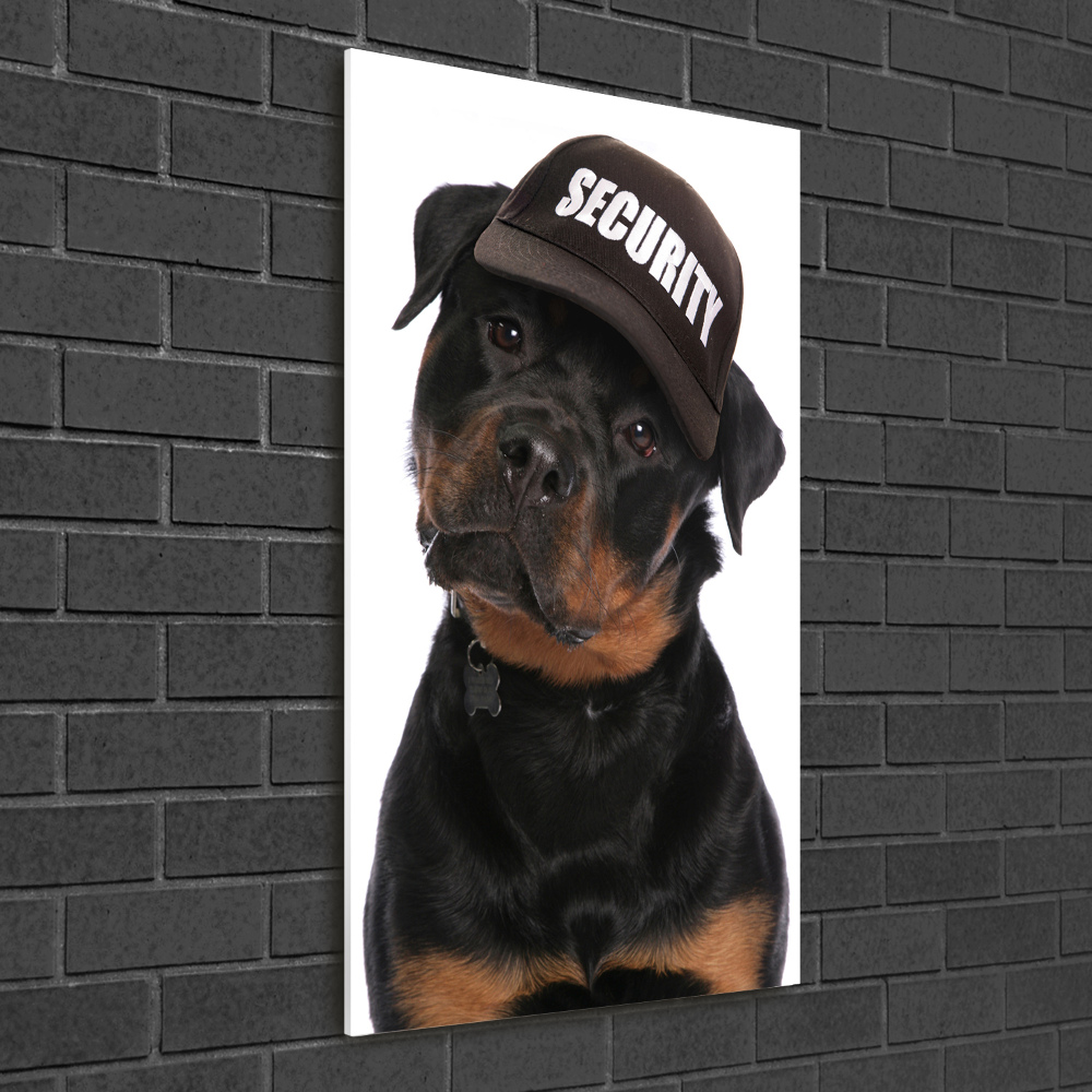 Tableau en acrylique Rottweiler en casquette