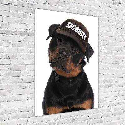 Tableau en acrylique Rottweiler en casquette