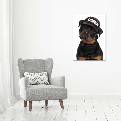 Tableau en acrylique Rottweiler en casquette