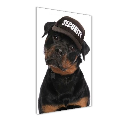 Tableau en acrylique Rottweiler en casquette