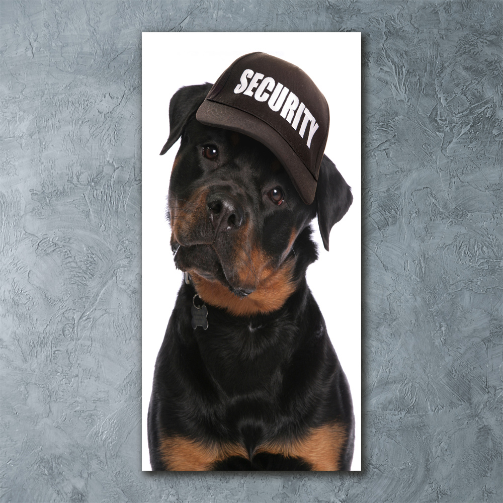 Tableau en acrylique Rottweiler en casquette