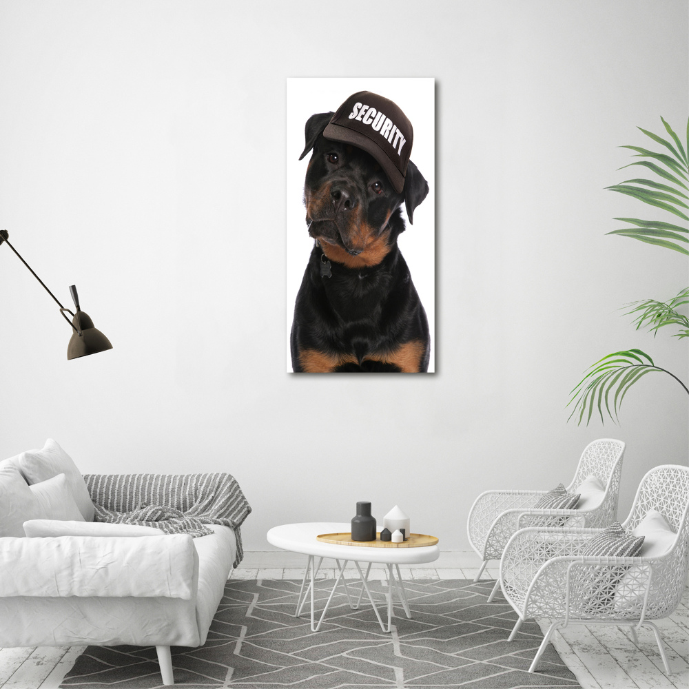 Tableau en acrylique Rottweiler en casquette