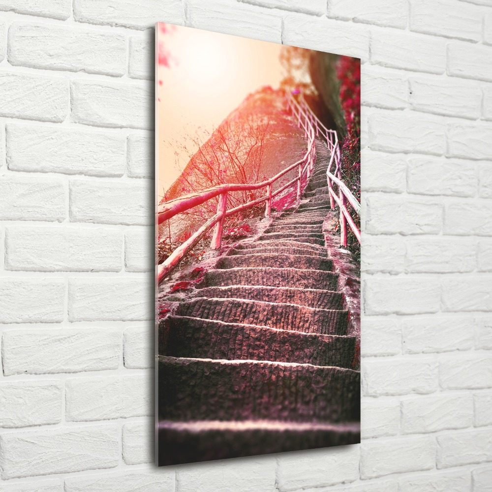 Tableau sur verre acrylique Escalier en montagne