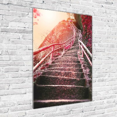 Tableau sur verre acrylique Escalier en montagne