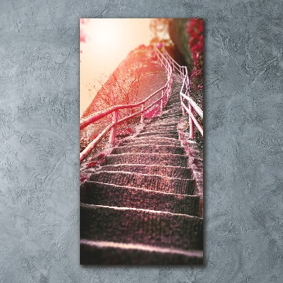 Tableau sur verre acrylique Escalier en montagne