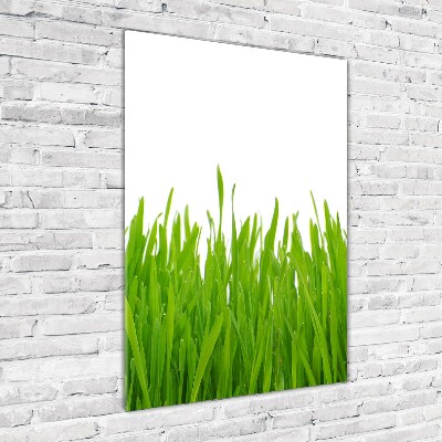 Acrylique tableau Herbe verte