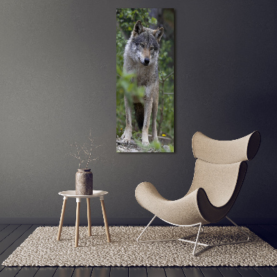 Tableau verre acrylique Loup dans la forêt