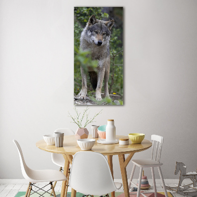 Tableau verre acrylique Loup dans la forêt