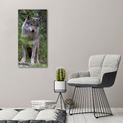 Tableau verre acrylique Loup dans la forêt