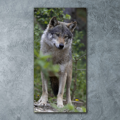 Tableau verre acrylique Loup dans la forêt