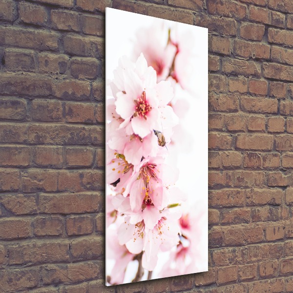 Tableau acrylique Fleurs d'amandier