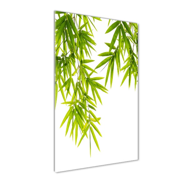 Feuilles de bambou