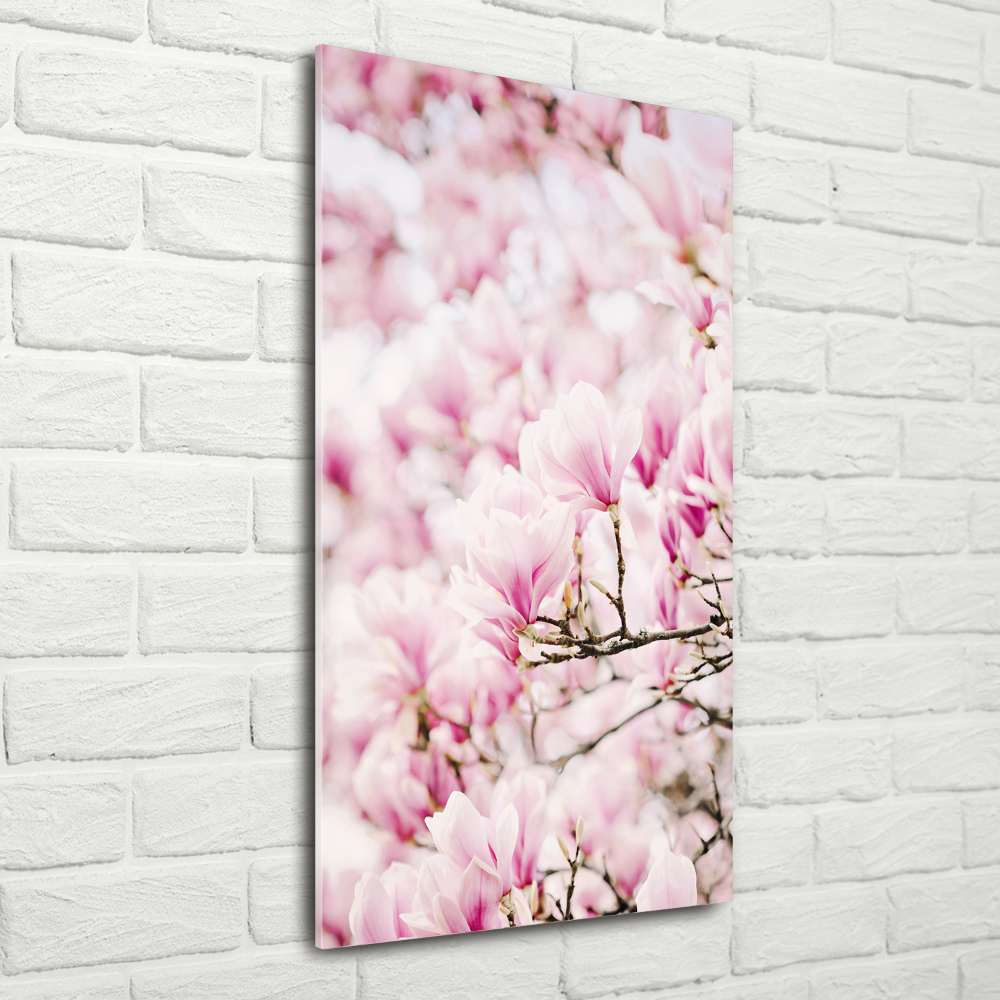 Tableau en acrylique Fleurs de magnolia