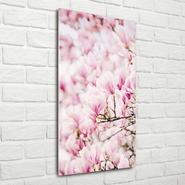 Tableau en acrylique Fleurs de magnolia