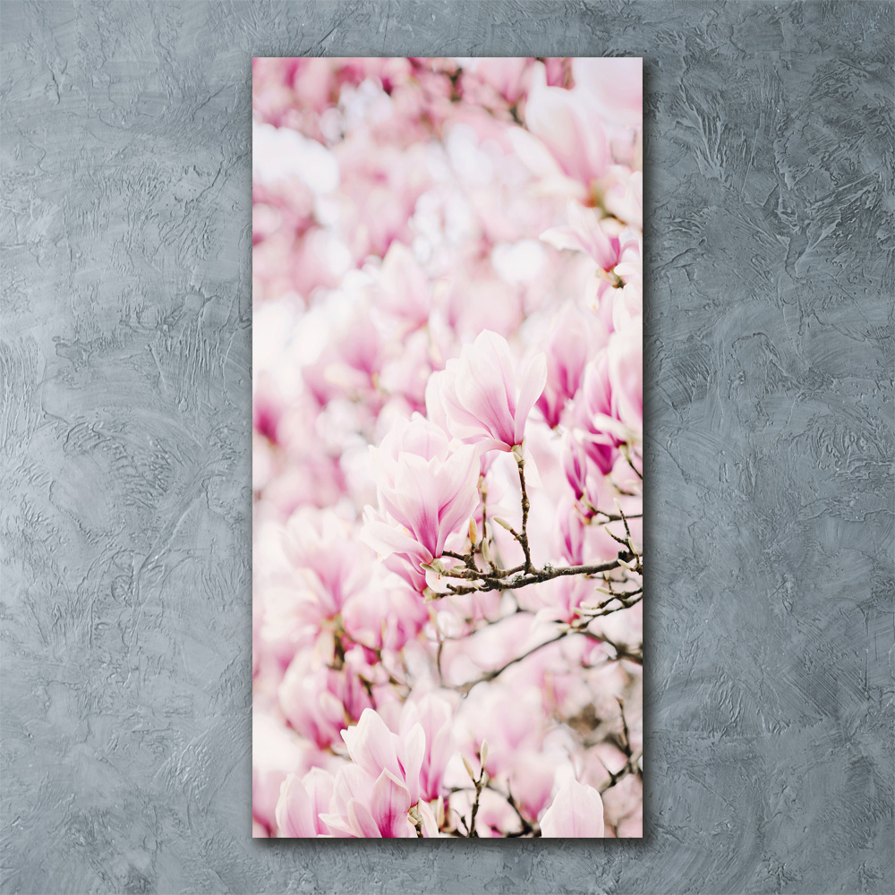 Tableau en acrylique Fleurs de magnolia