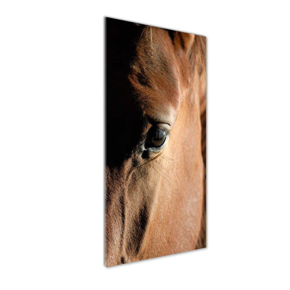 Acrylique tableau Cheval