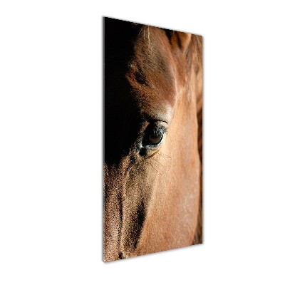 Acrylique tableau Cheval