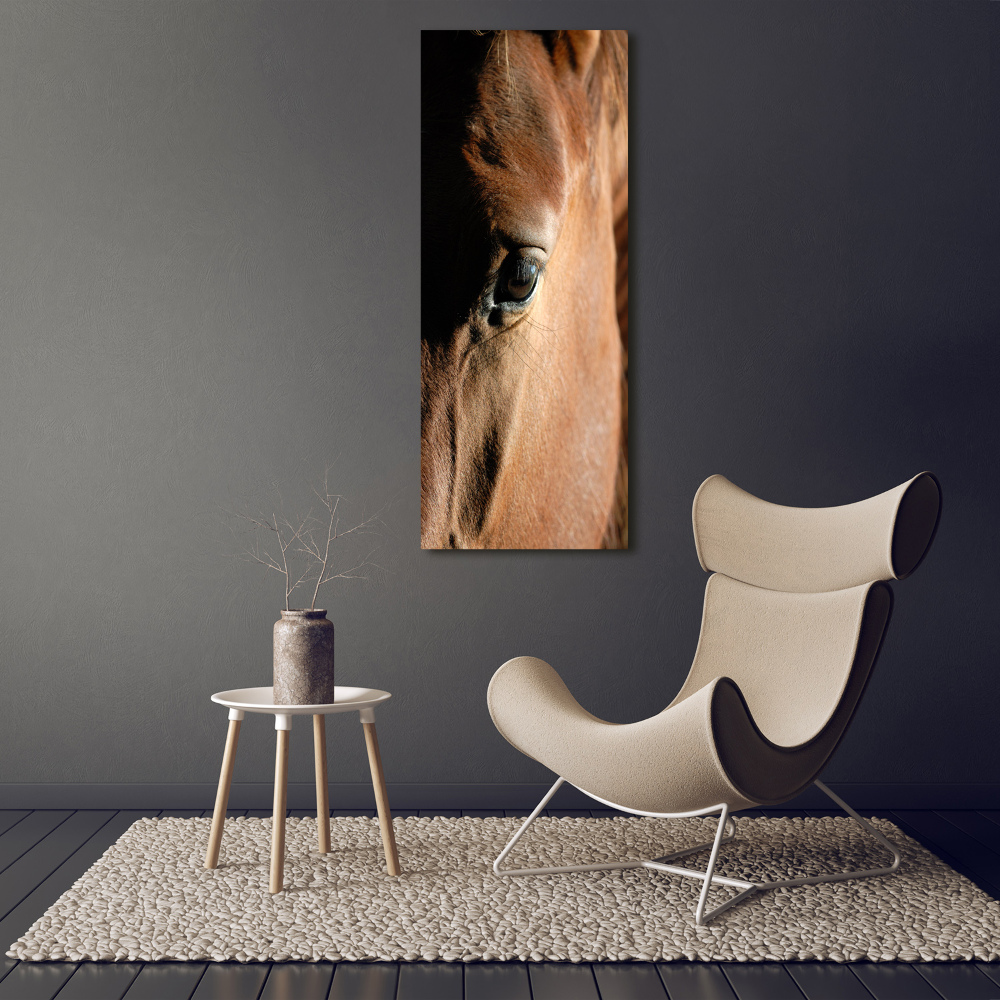 Acrylique tableau Cheval