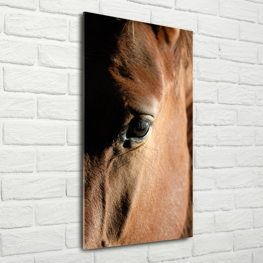 Acrylique tableau Cheval