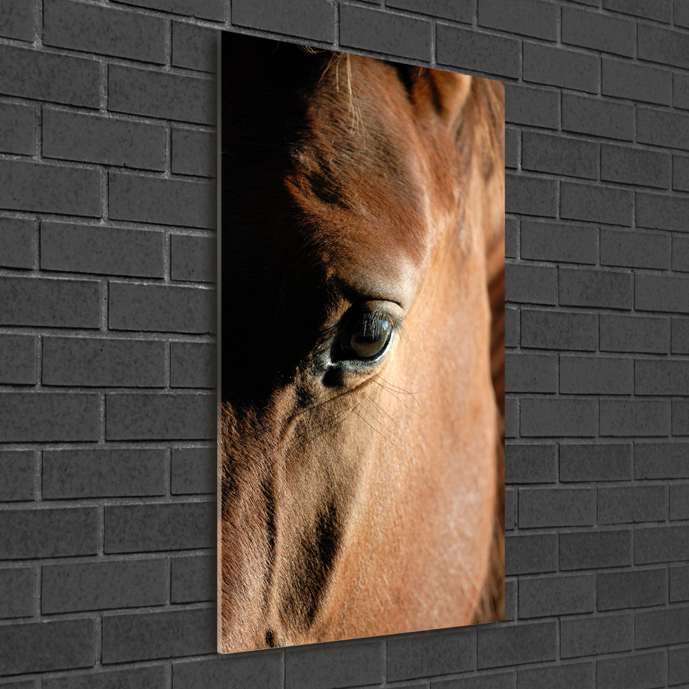 Acrylique tableau Cheval