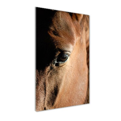 Acrylique tableau Cheval