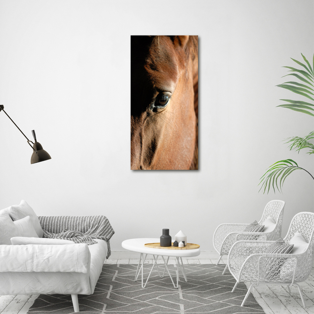 Acrylique tableau Cheval