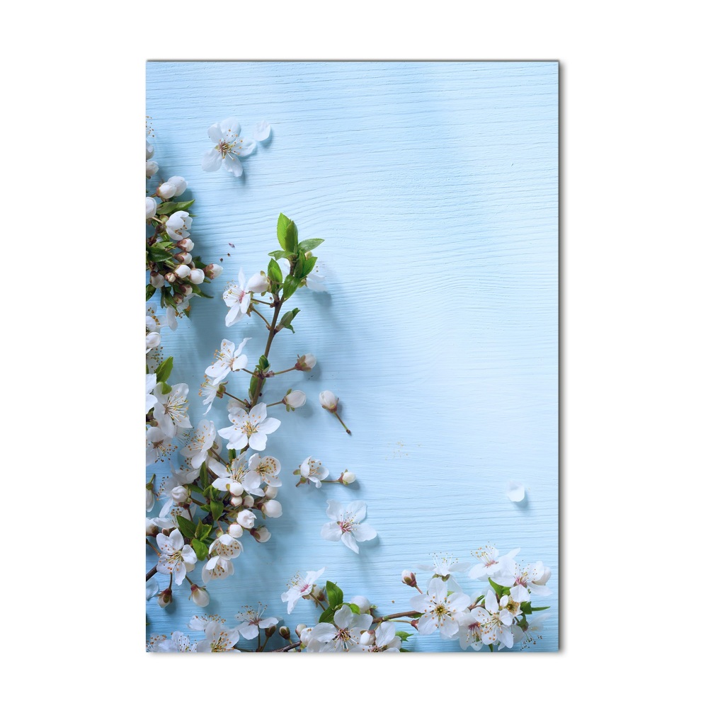 Tableau verre acrylique Fleurs de cerisier