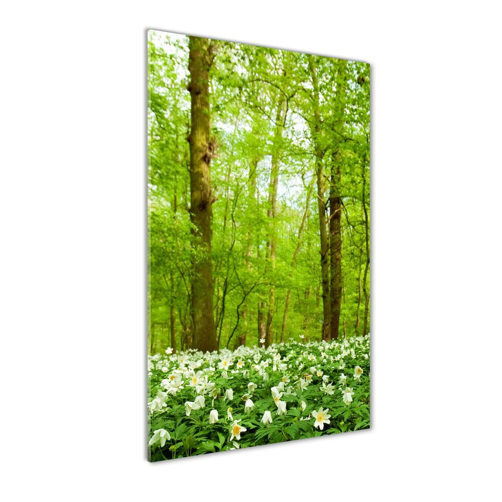 Tableau sur verre acrylique Fleurs dans la forêt