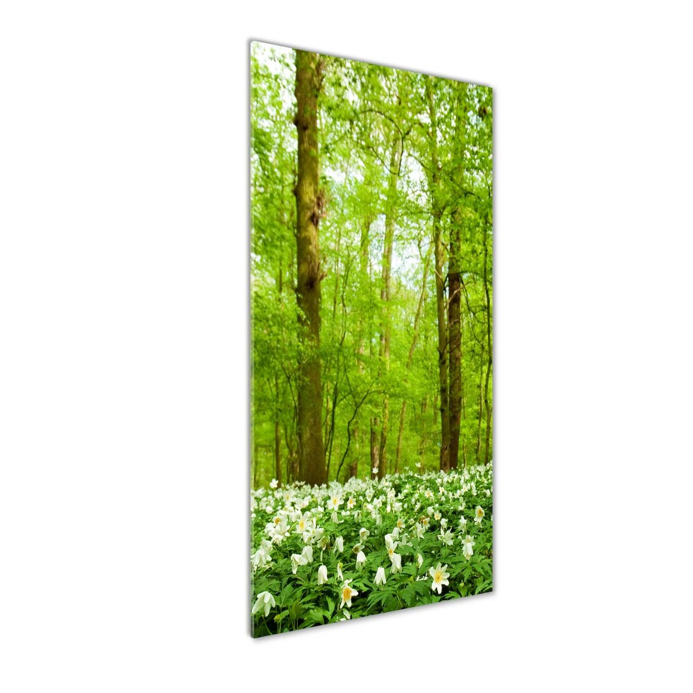 Tableau sur verre acrylique Fleurs dans la forêt