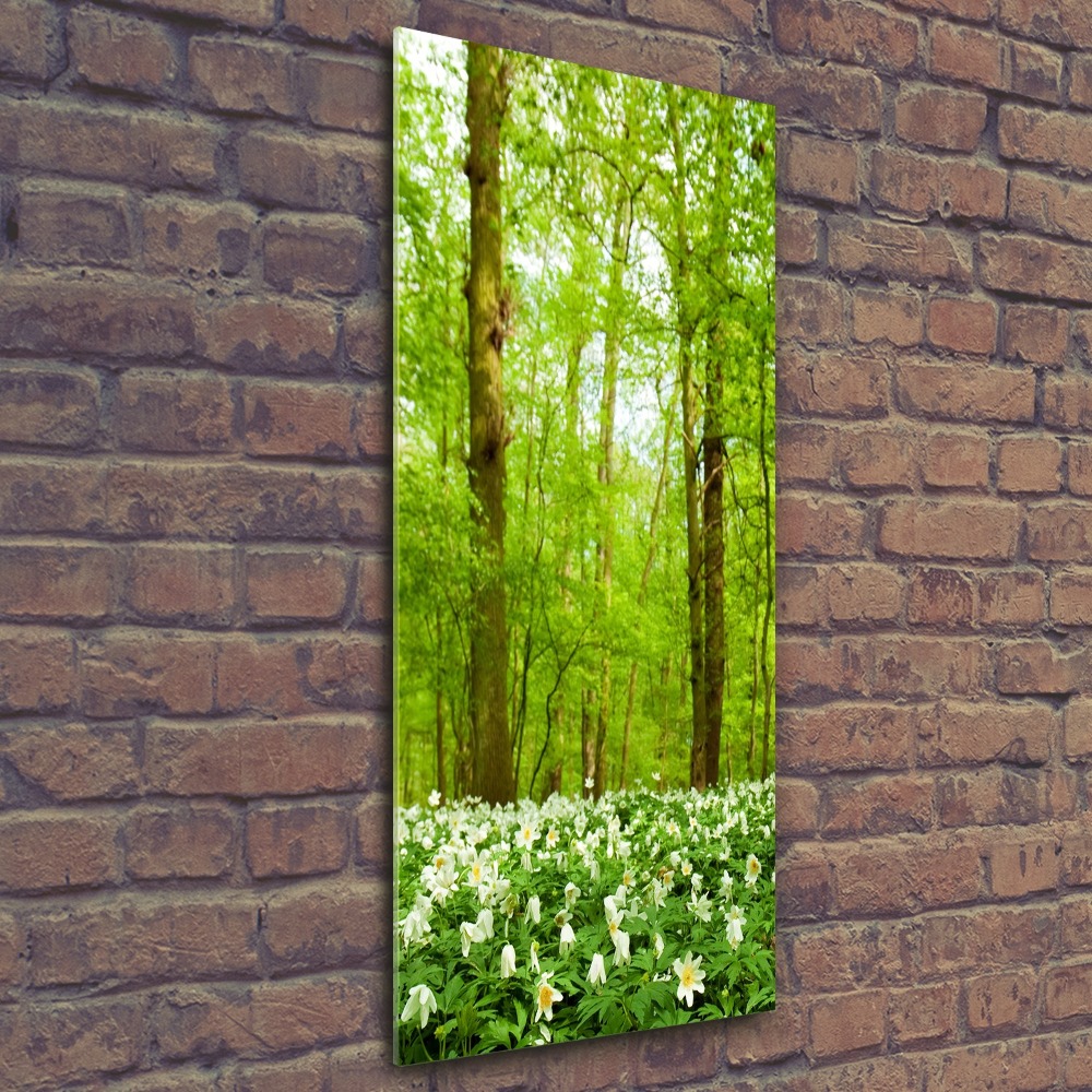 Tableau sur verre acrylique Fleurs dans la forêt