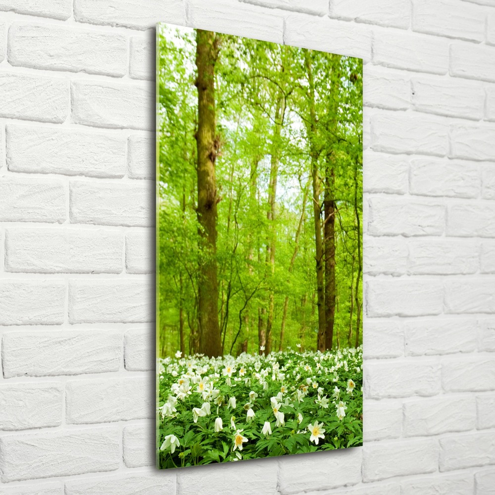 Tableau sur verre acrylique Fleurs dans la forêt