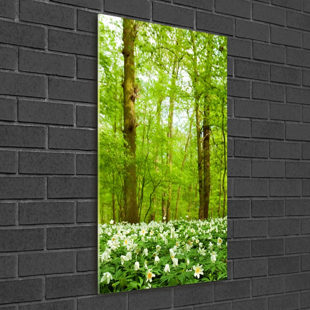 Tableau sur verre acrylique Fleurs dans la forêt