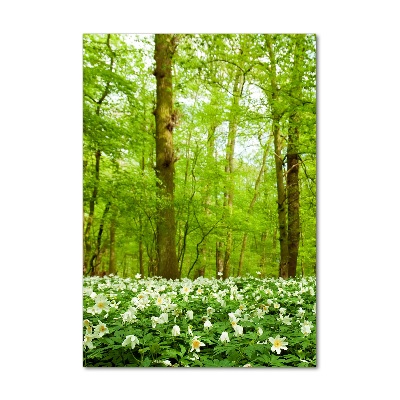 Tableau sur verre acrylique Fleurs dans la forêt