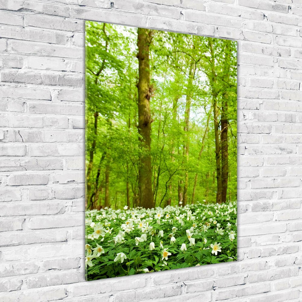 Tableau sur verre acrylique Fleurs dans la forêt