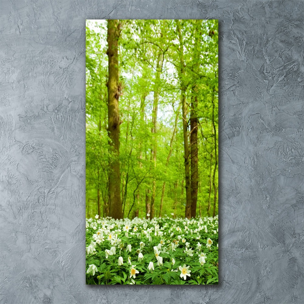 Tableau sur verre acrylique Fleurs dans la forêt