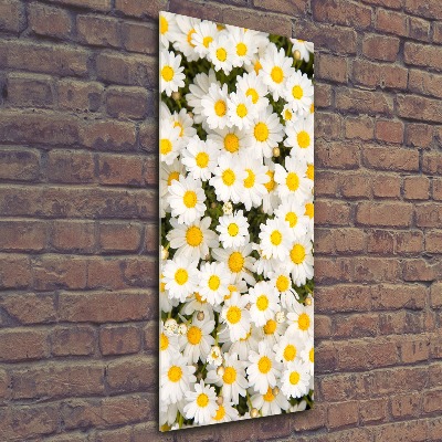 Tableau en acrylique Fleurs de marguerite