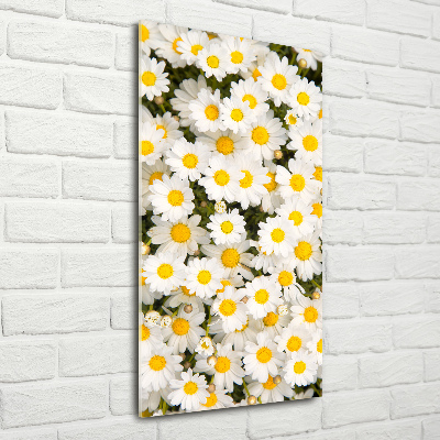 Tableau en acrylique Fleurs de marguerite